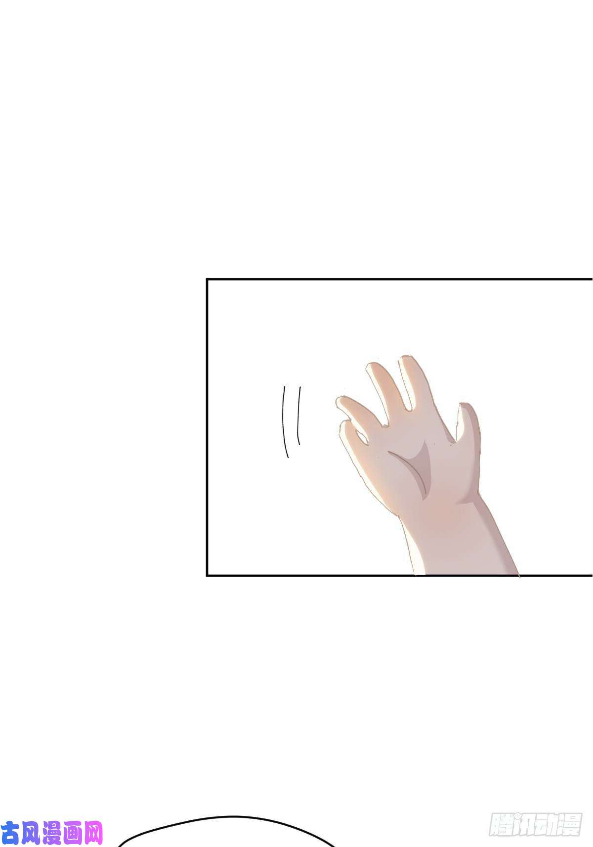 黑背信天翁21真希望每天都是这样