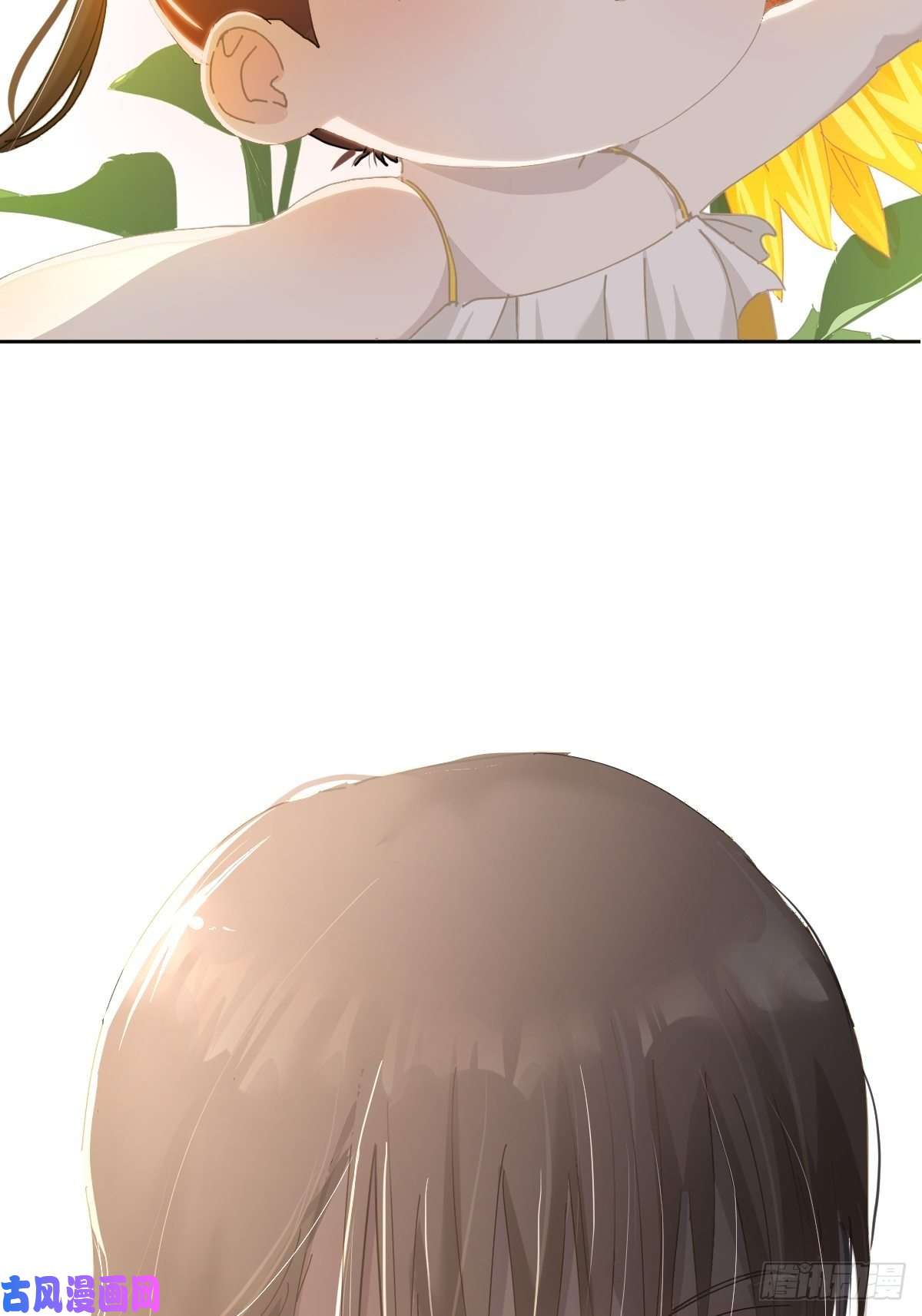 黑背信天翁21真希望每天都是这样