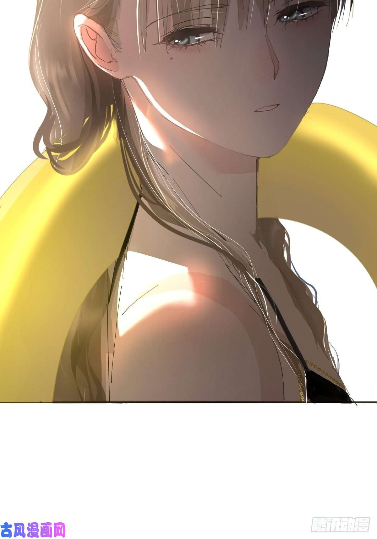 黑背信天翁21真希望每天都是这样