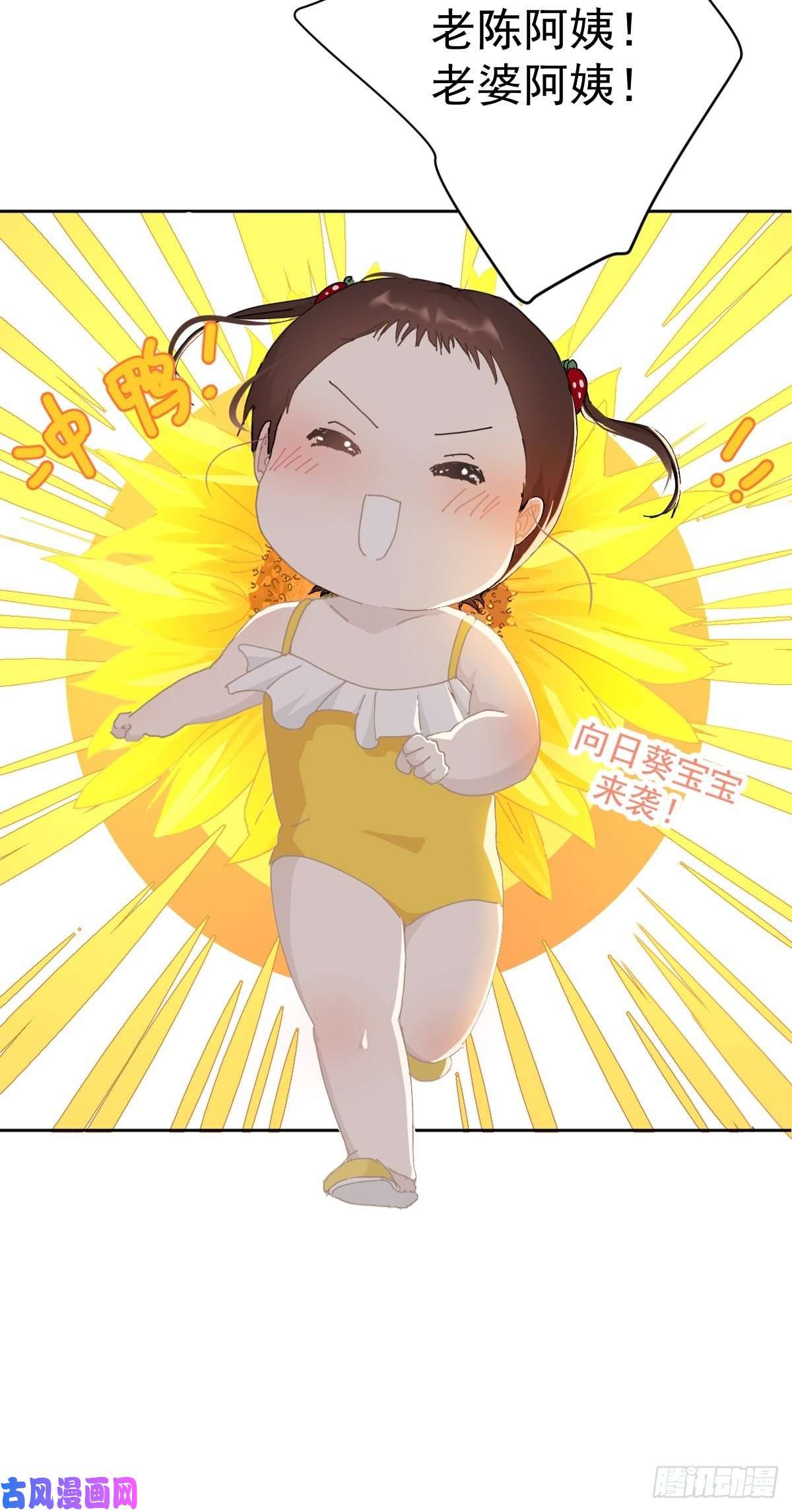 黑背信天翁21真希望每天都是这样