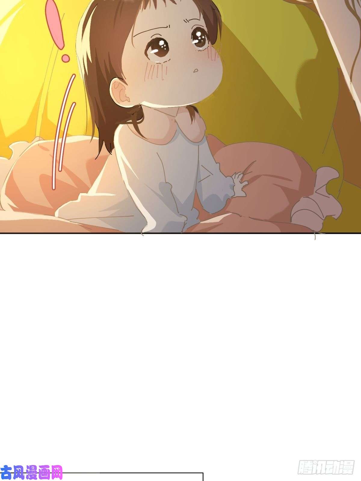 黑背信天翁21真希望每天都是这样