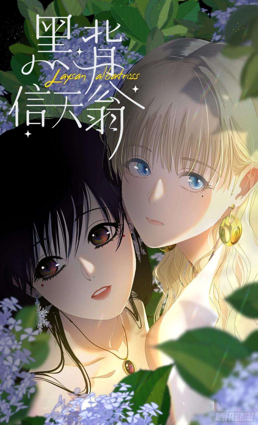 黑背信天翁01大自然都接纳它们