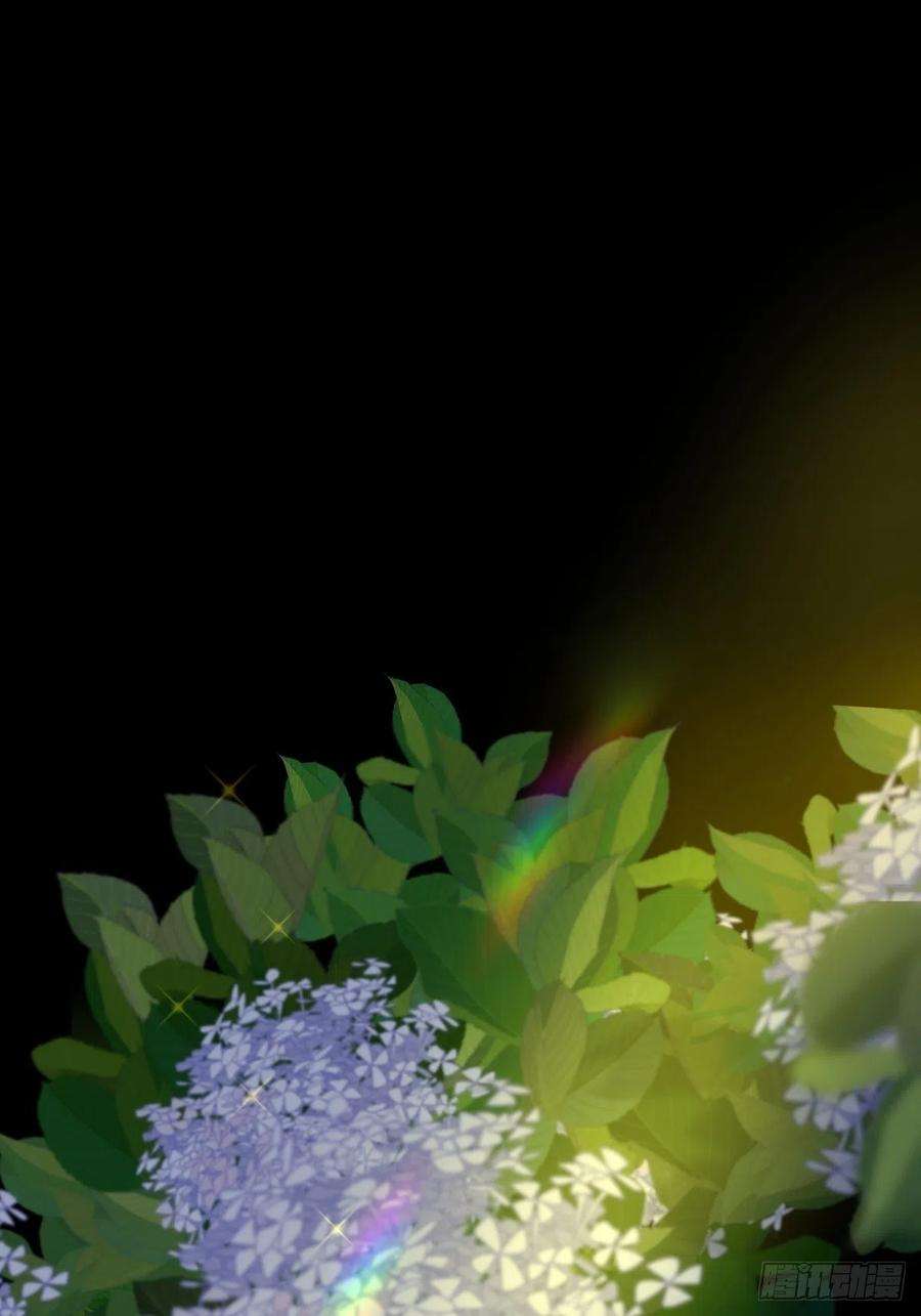 黑背信天翁01大自然都接纳它们