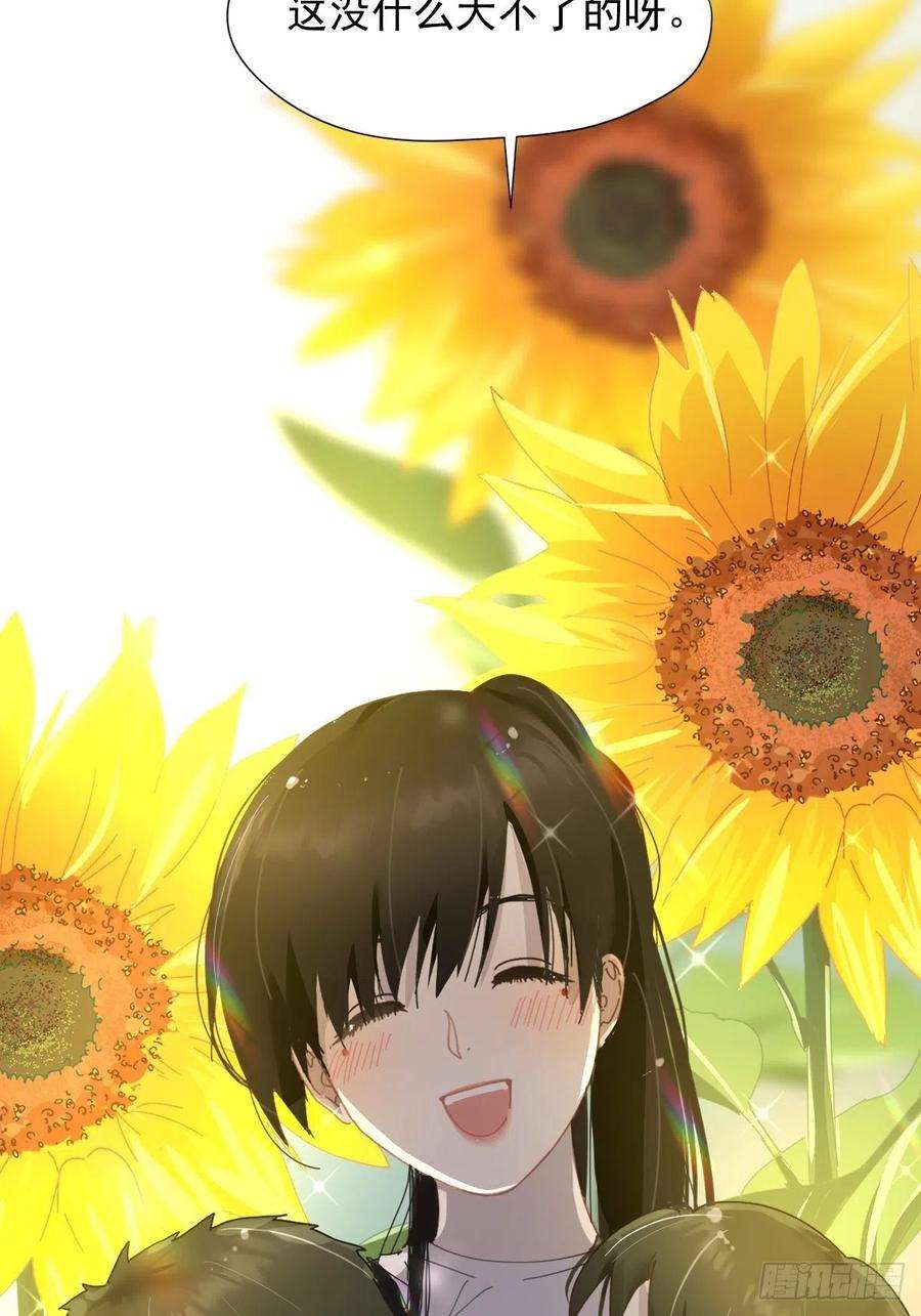 黑背信天翁01大自然都接纳它们