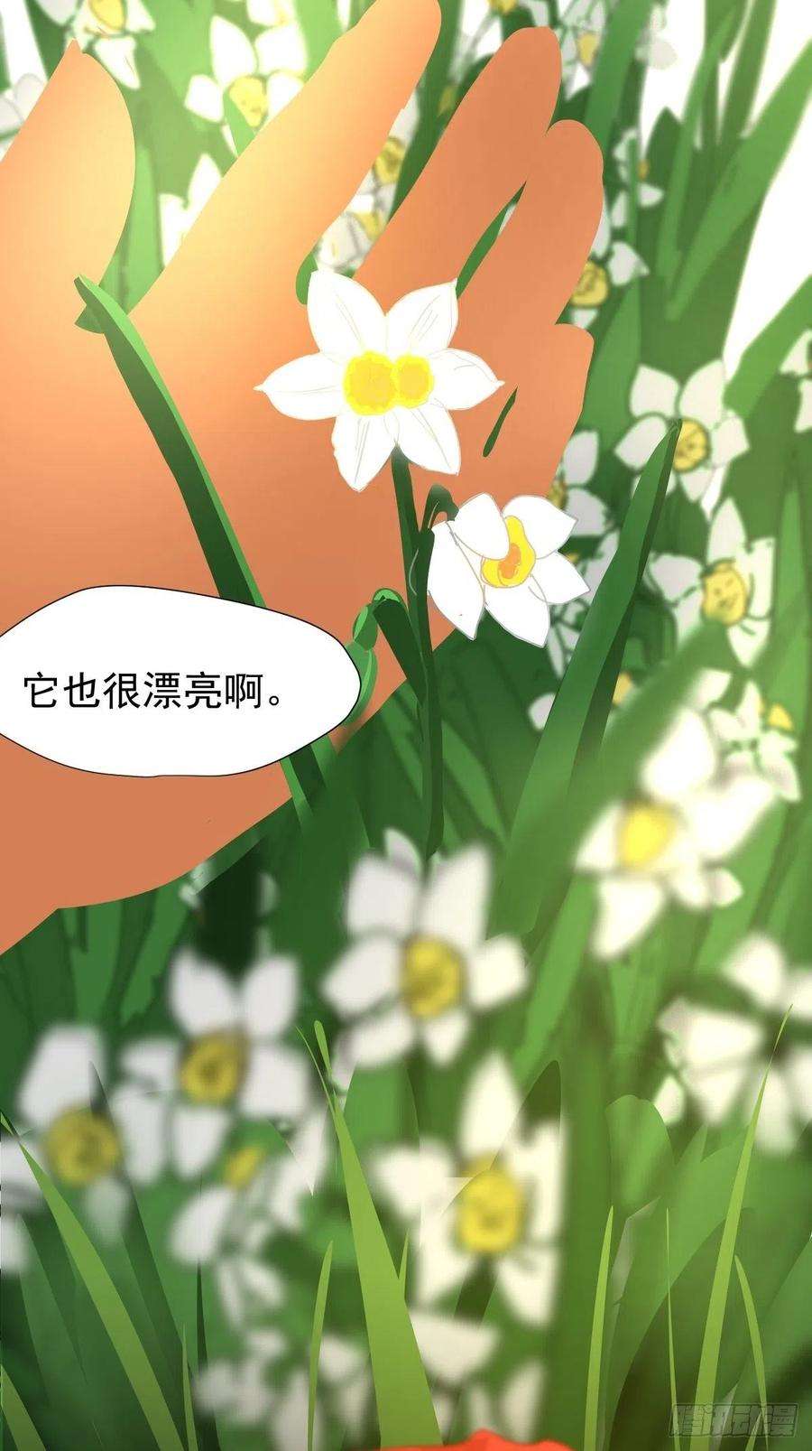 黑背信天翁01大自然都接纳它们