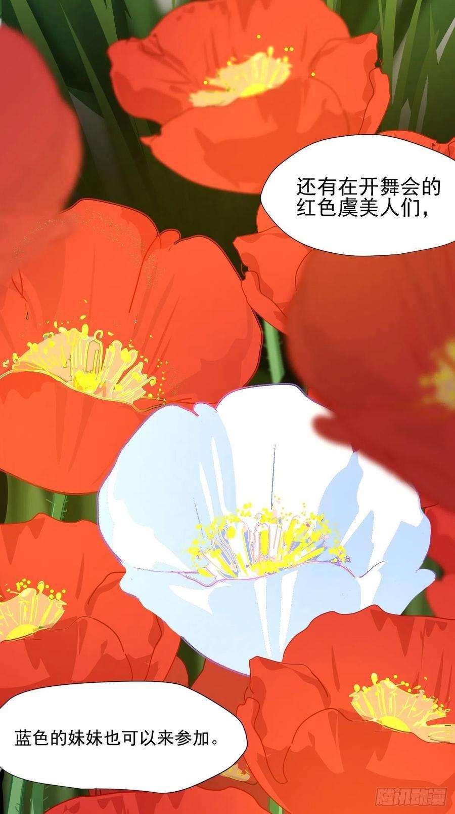 黑背信天翁01大自然都接纳它们