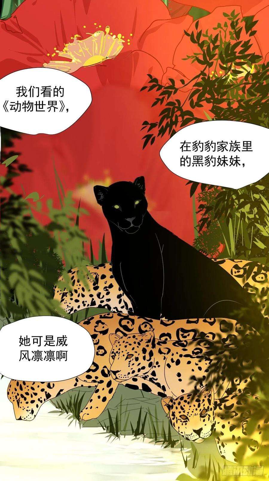 黑背信天翁01大自然都接纳它们