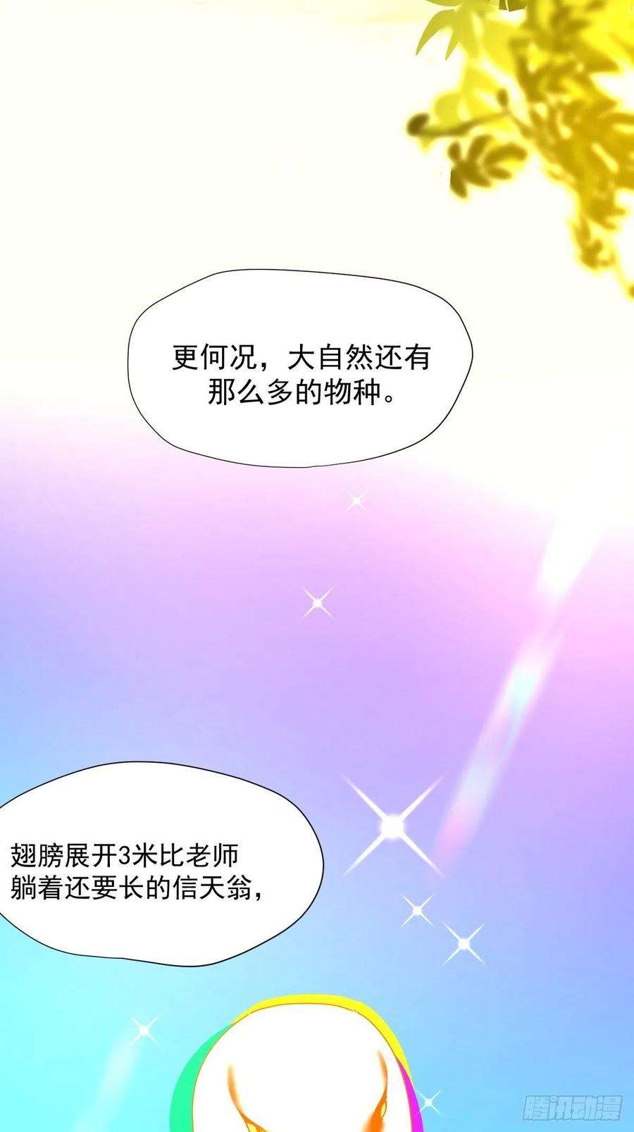 黑背信天翁01大自然都接纳它们