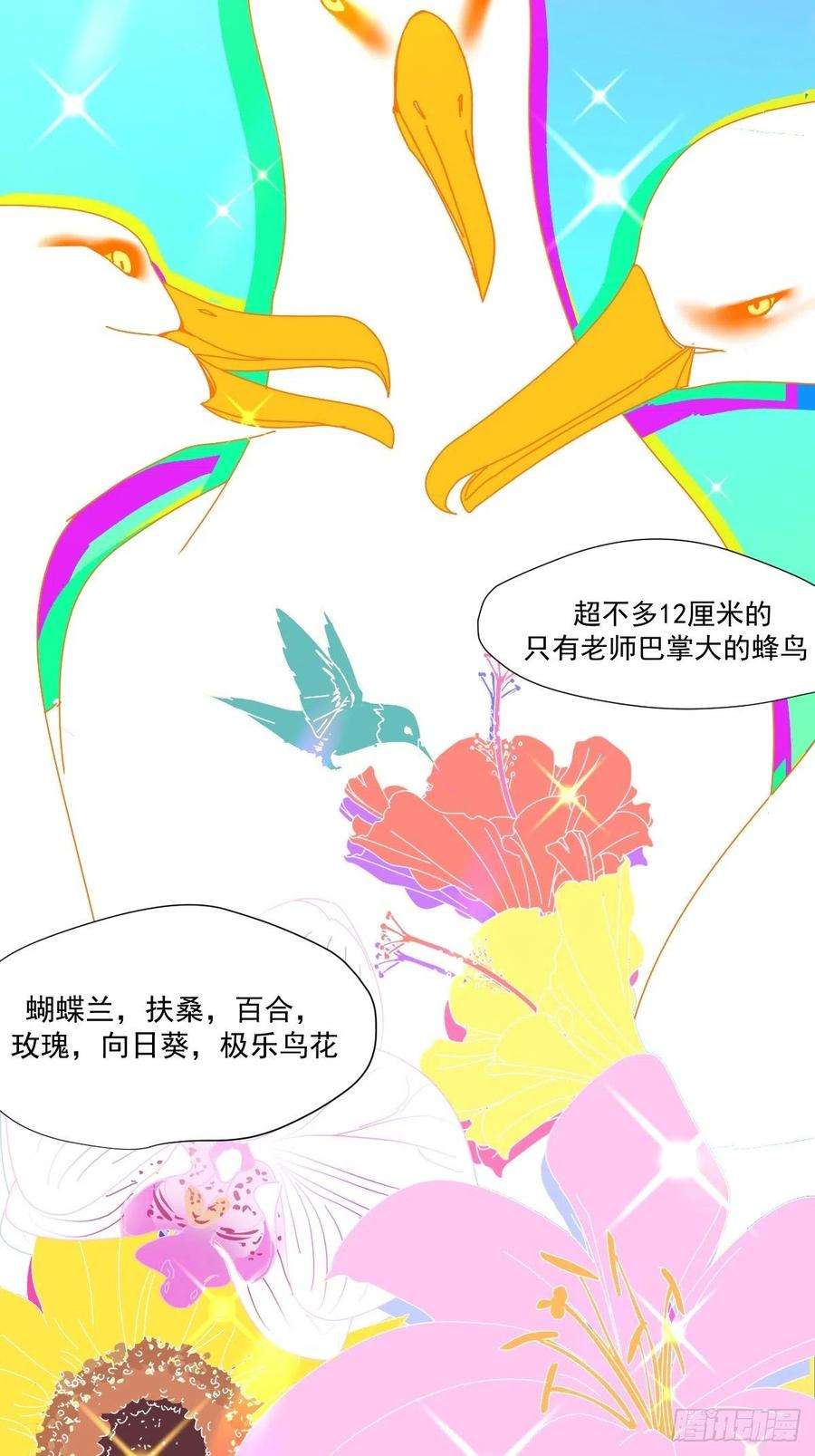 黑背信天翁01大自然都接纳它们