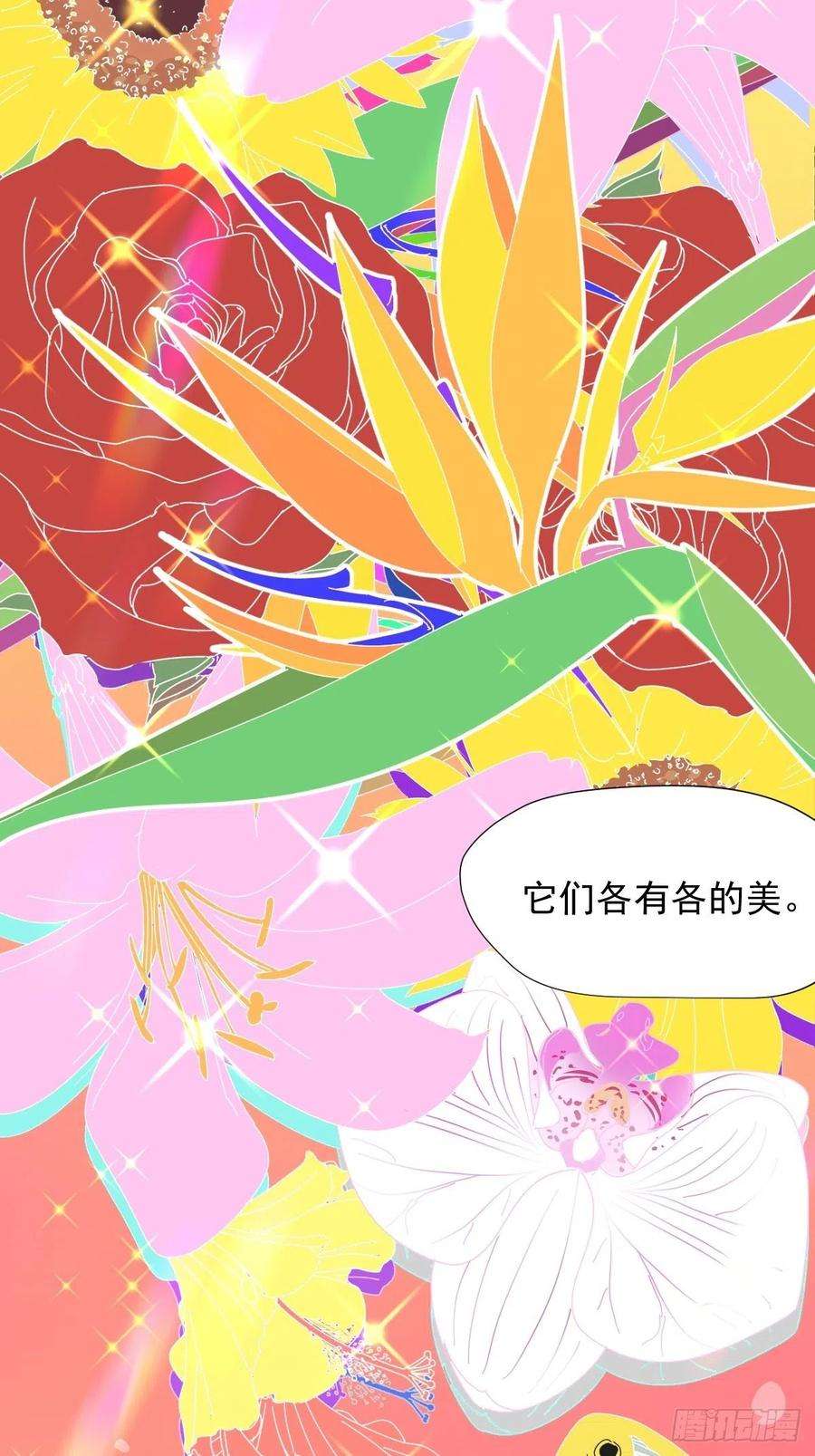 黑背信天翁01大自然都接纳它们