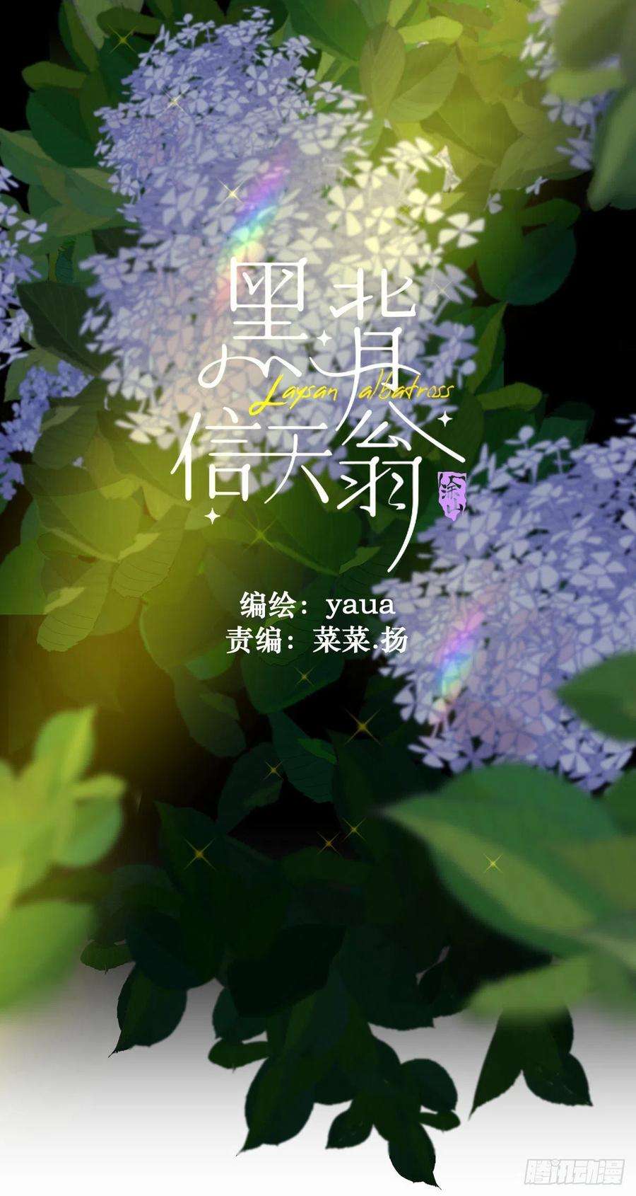 黑背信天翁04她一定很痛吧