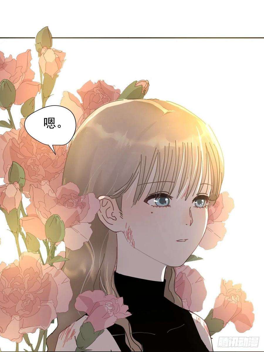 黑背信天翁04她一定很痛吧