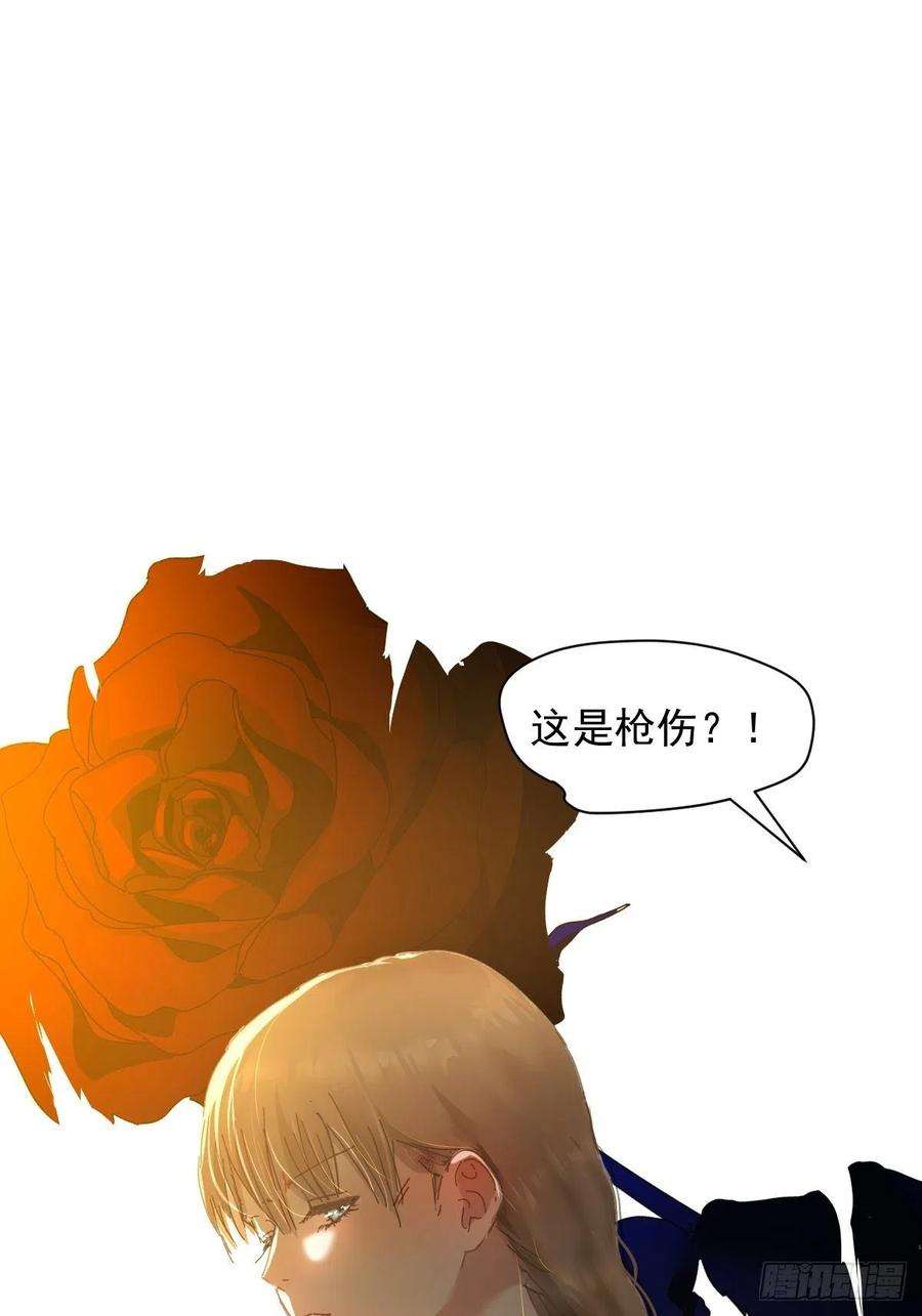 黑背信天翁04她一定很痛吧