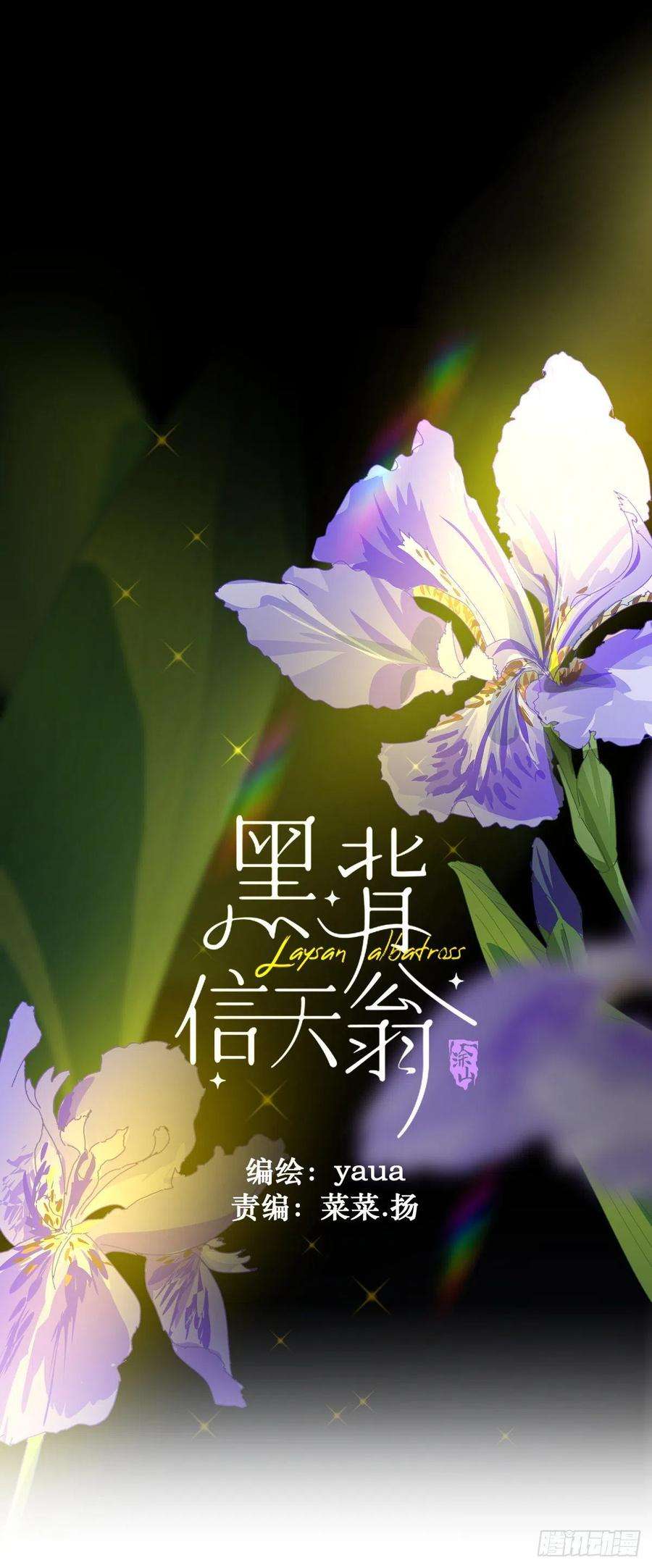 黑背信天翁05这就是今晚的考核