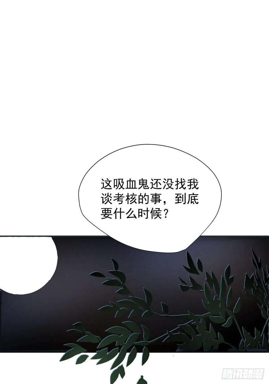 黑背信天翁05这就是今晚的考核