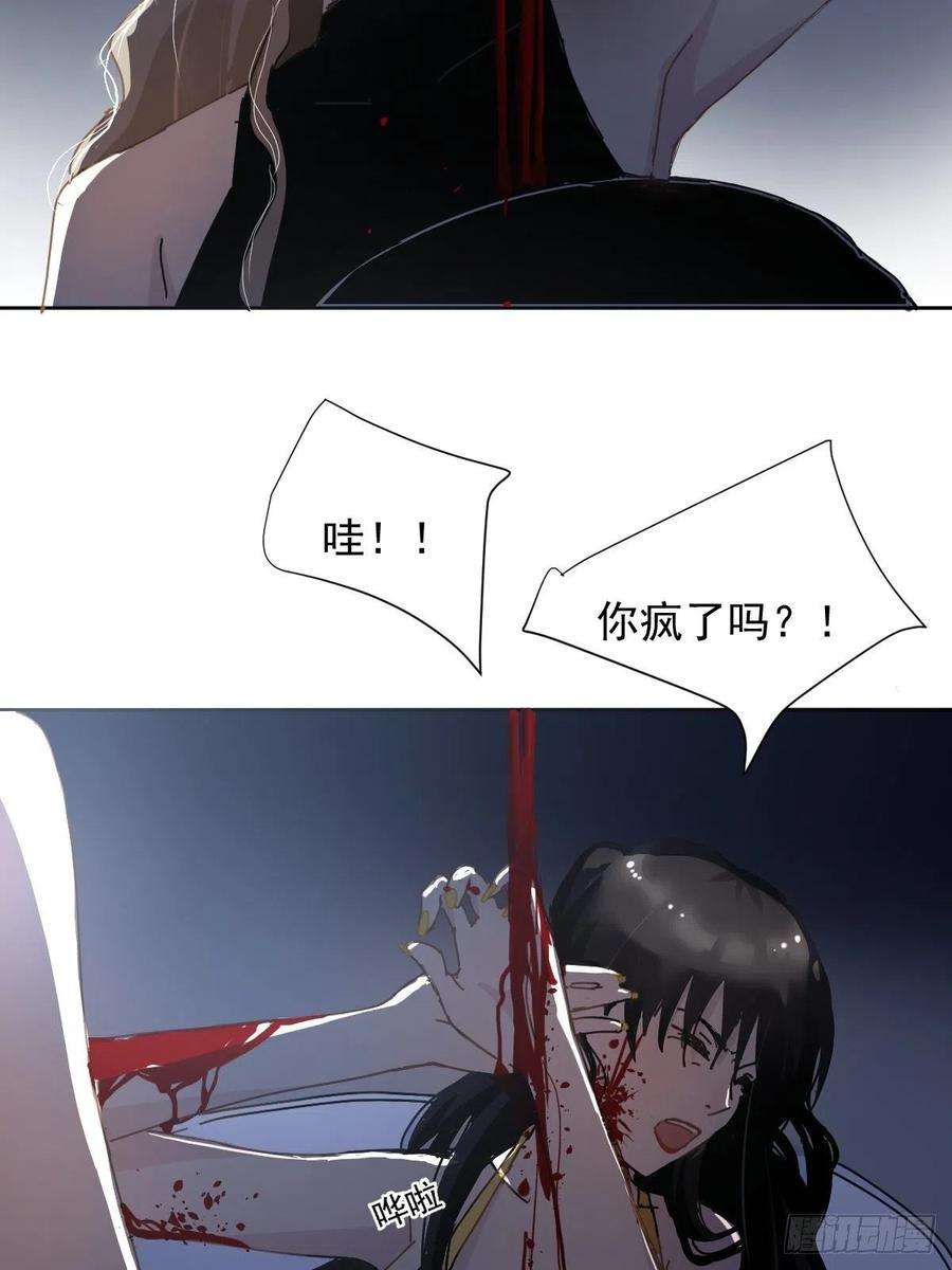 黑背信天翁05这就是今晚的考核