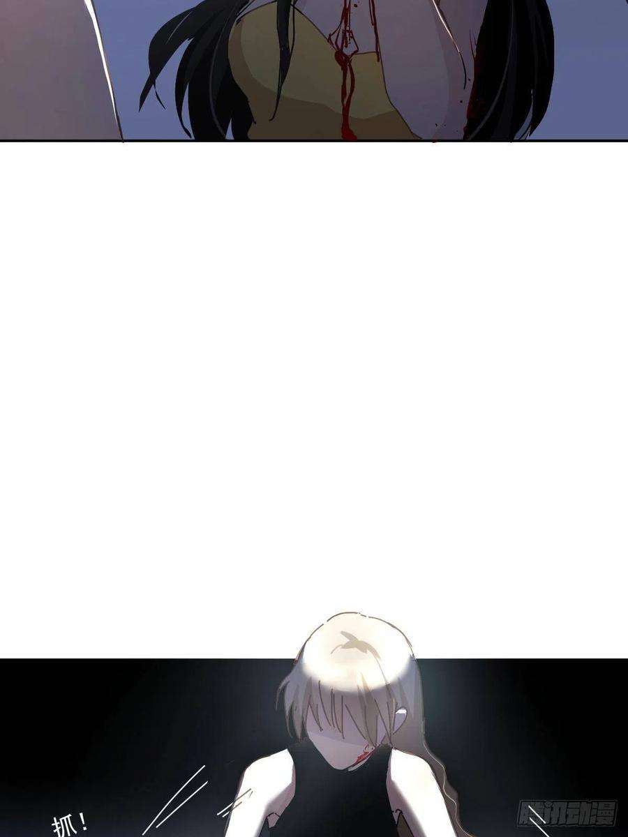 黑背信天翁05这就是今晚的考核