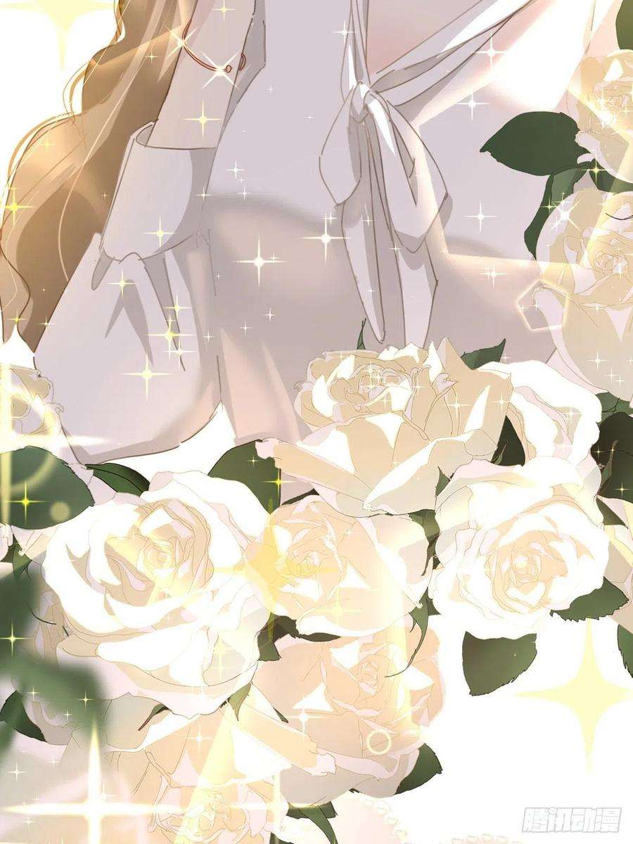 黑背信天翁08嗯，最优人选