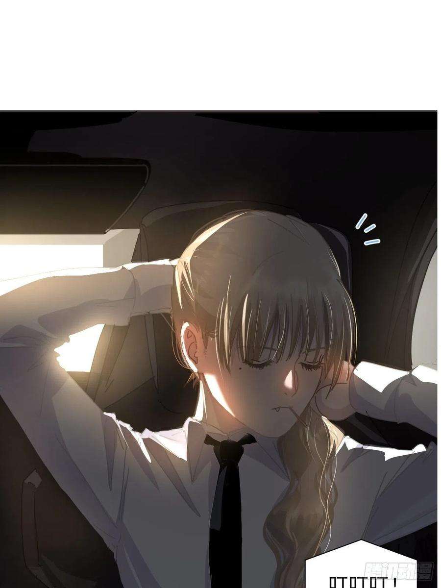 黑背信天翁08嗯，最优人选