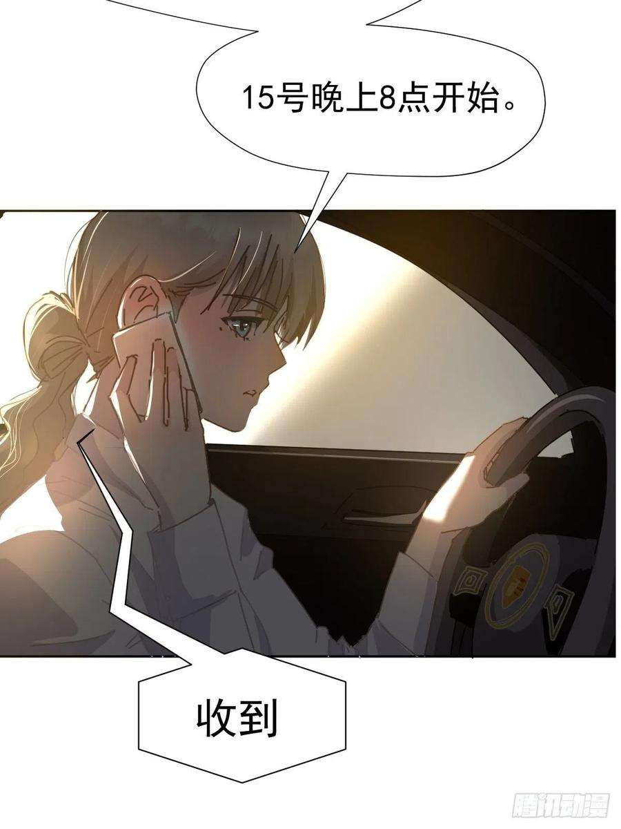 黑背信天翁08嗯，最优人选