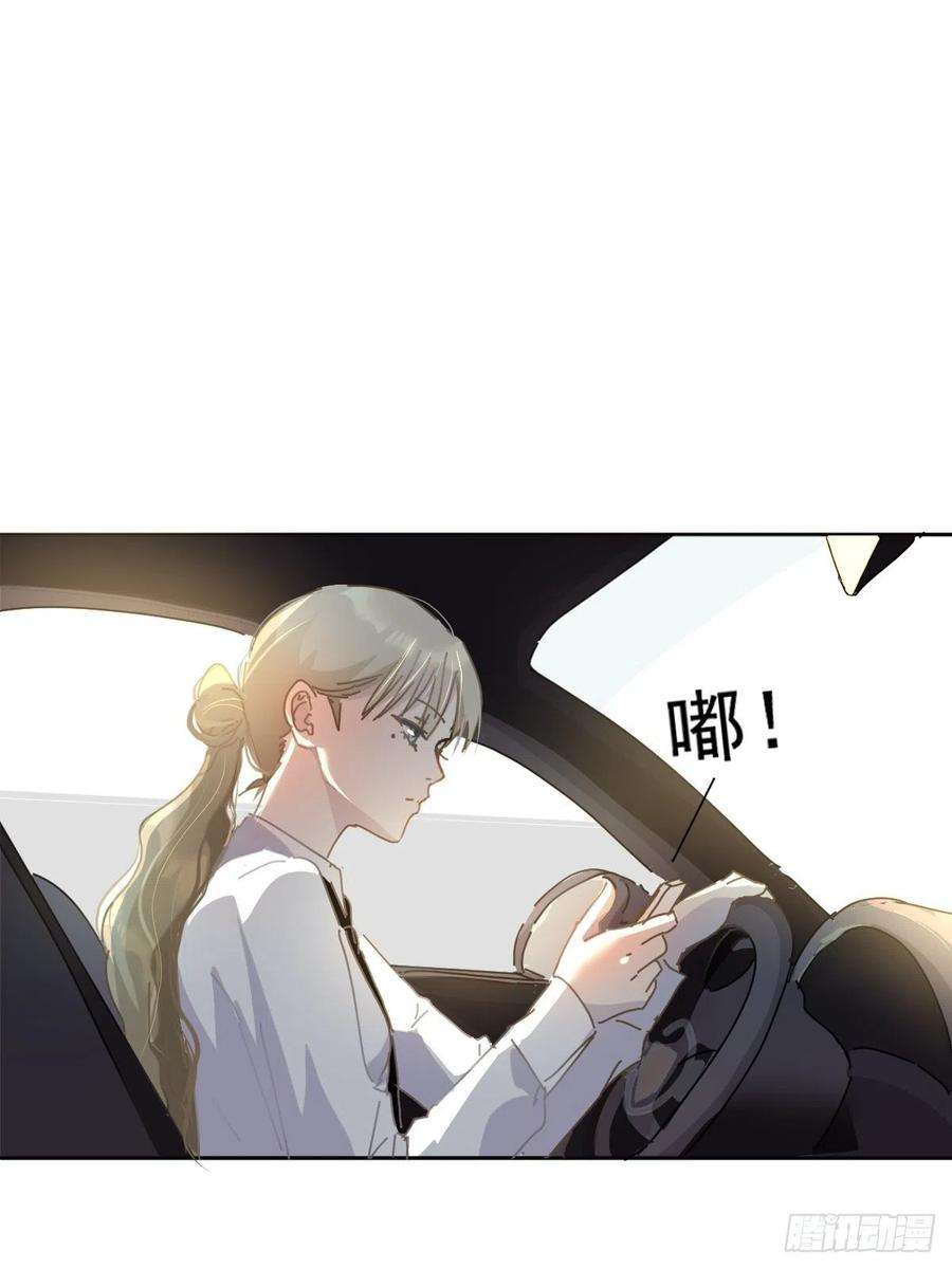 黑背信天翁08嗯，最优人选