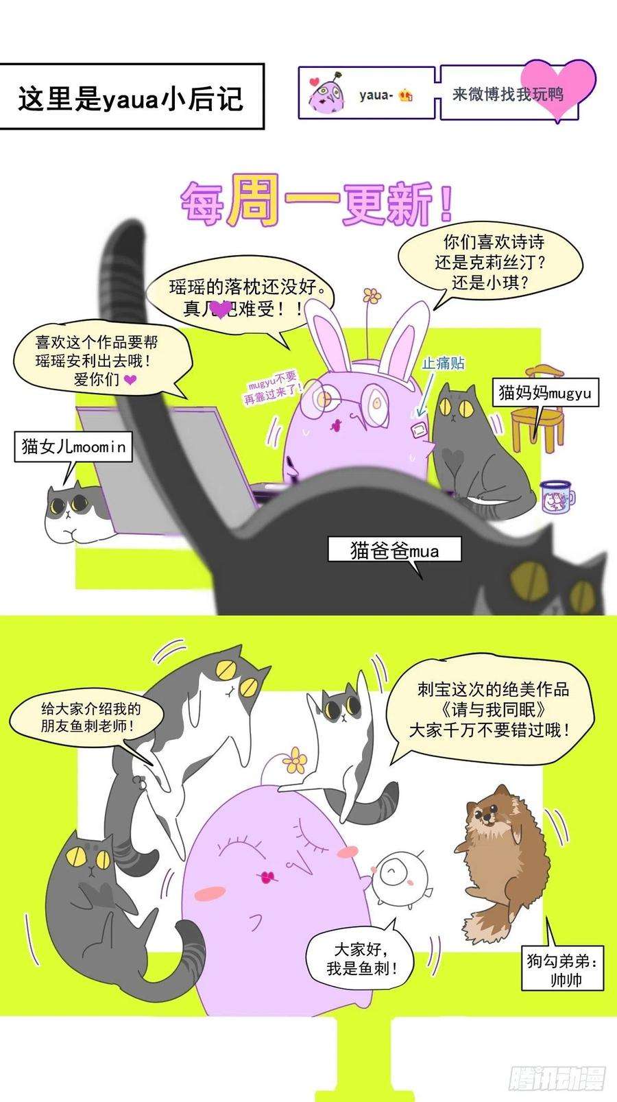 黑背信天翁08嗯，最优人选