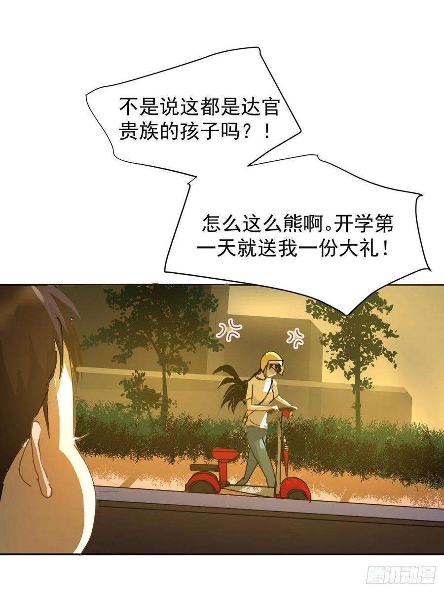 黑背信天翁09妈妈很快就要来了