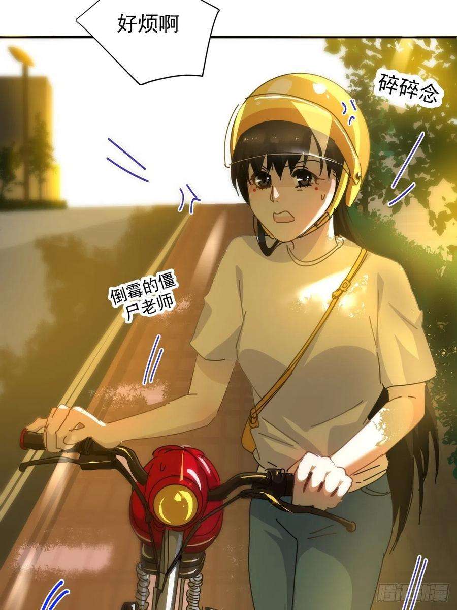 黑背信天翁09妈妈很快就要来了