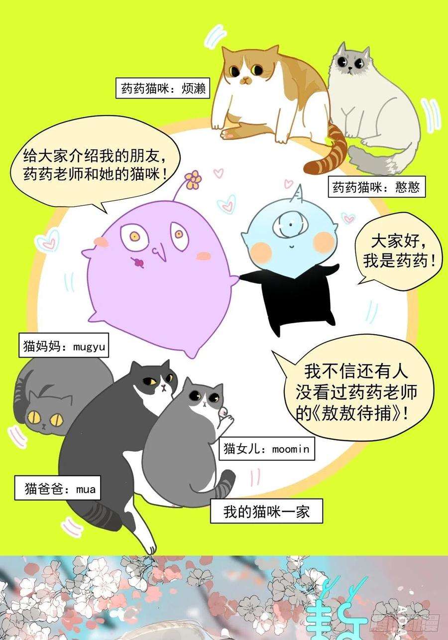 黑背信天翁11妈妈你忙你的