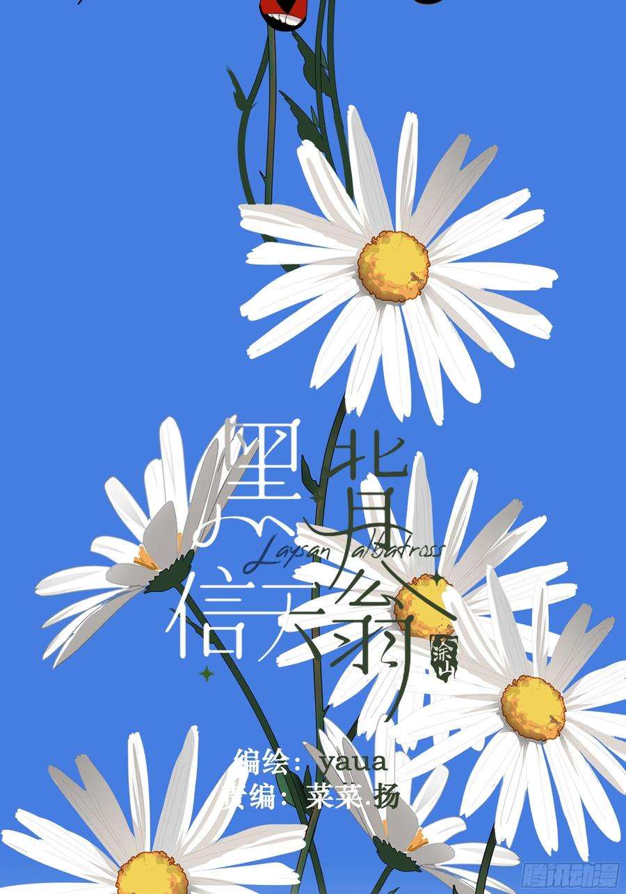 黑背信天翁13我相信这是一种缘分