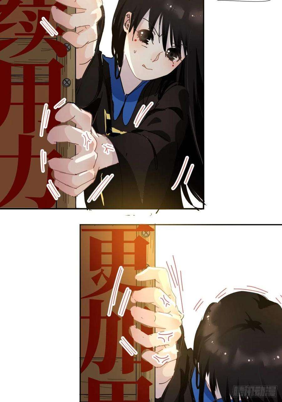 黑背信天翁13我相信这是一种缘分