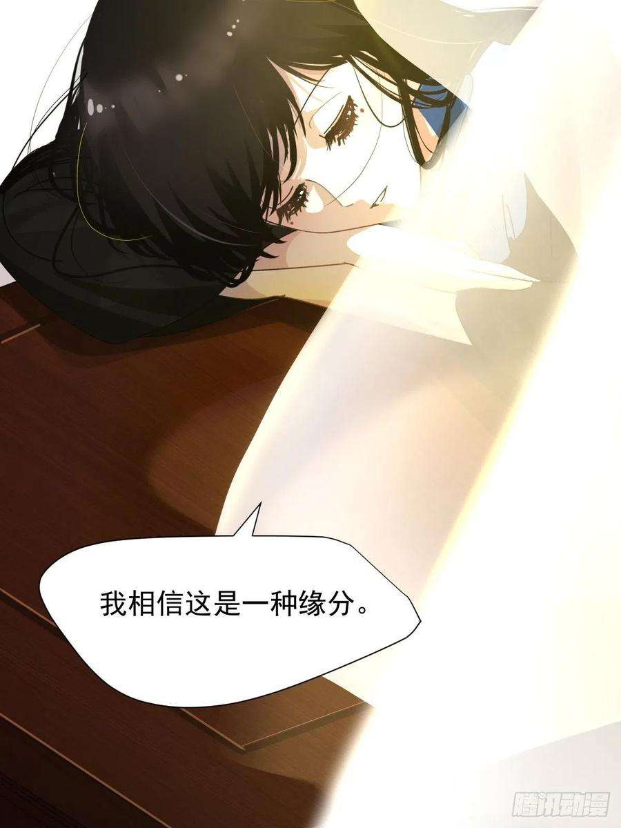 黑背信天翁13我相信这是一种缘分