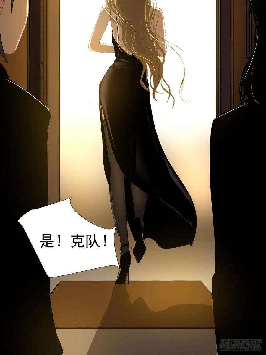 黑背信天翁14各部门做好准备