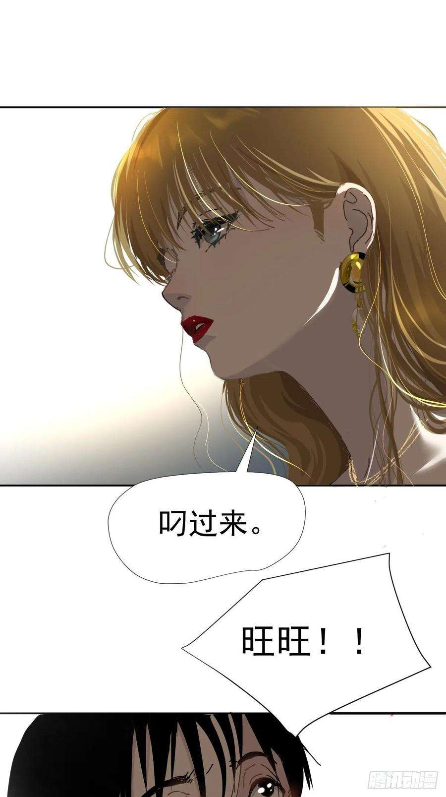 黑背信天翁15叼话来