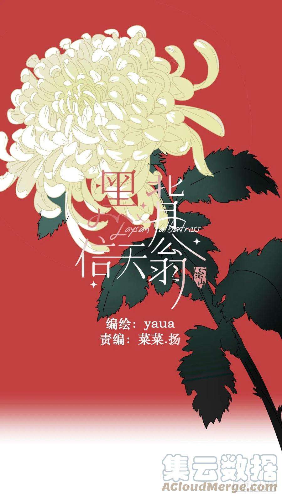 黑背信天翁27很正常的哦