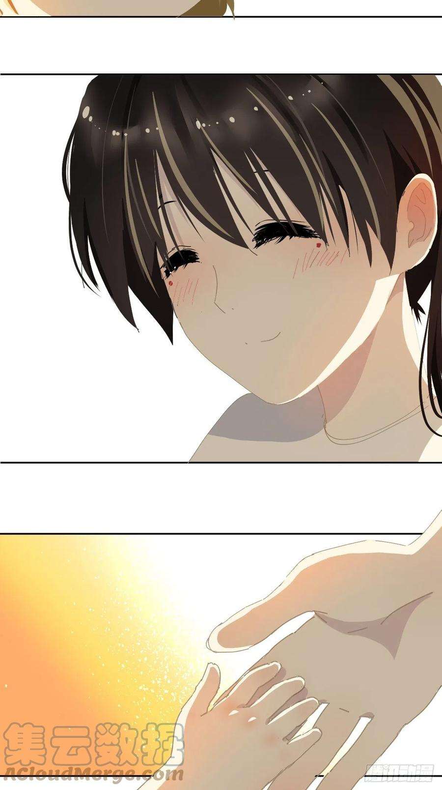 黑背信天翁27很正常的哦