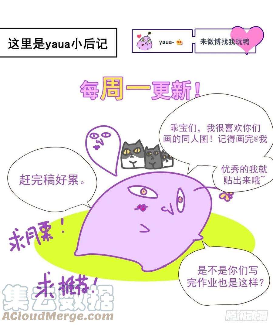 黑背信天翁27很正常的哦