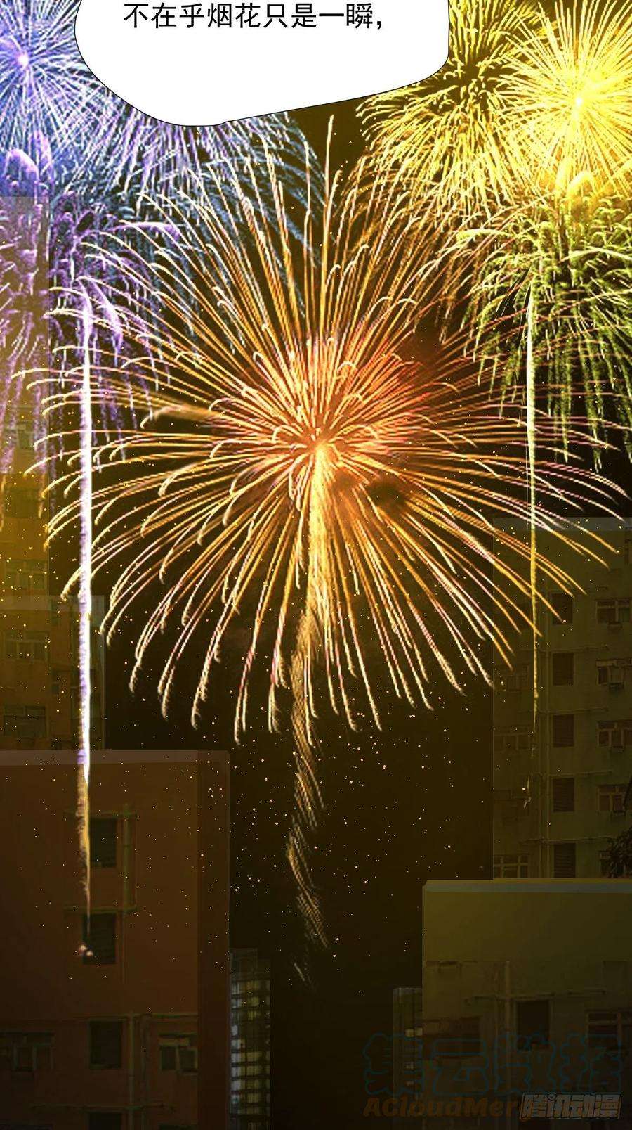 黑背信天翁28你喜欢看烟花吗