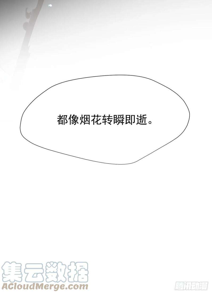 黑背信天翁28你喜欢看烟花吗