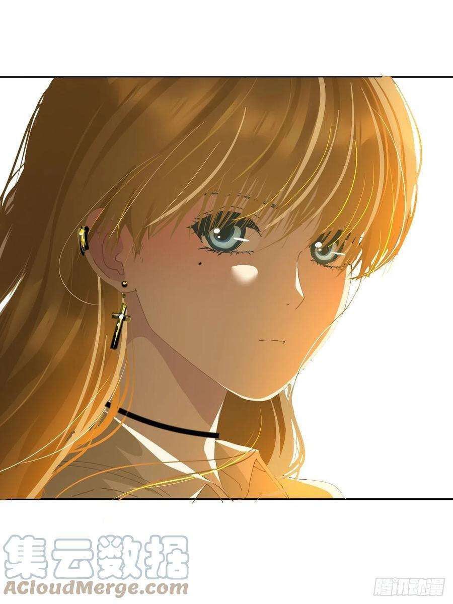 黑背信天翁28你喜欢看烟花吗