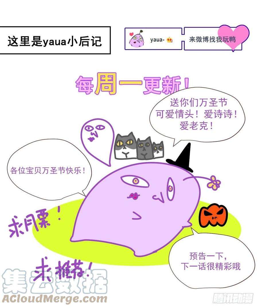 黑背信天翁28你喜欢看烟花吗