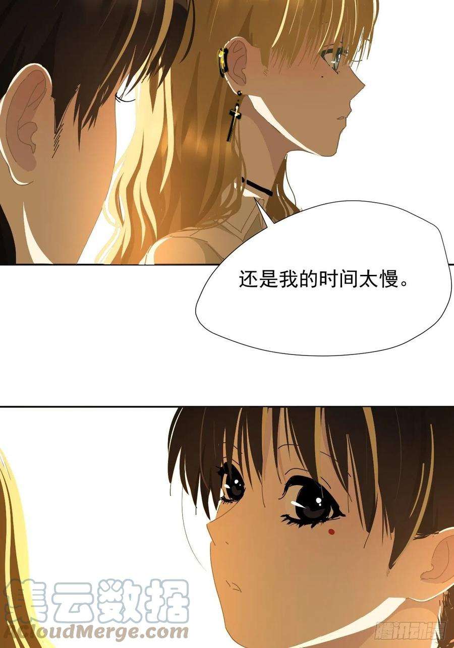 黑背信天翁28你喜欢看烟花吗