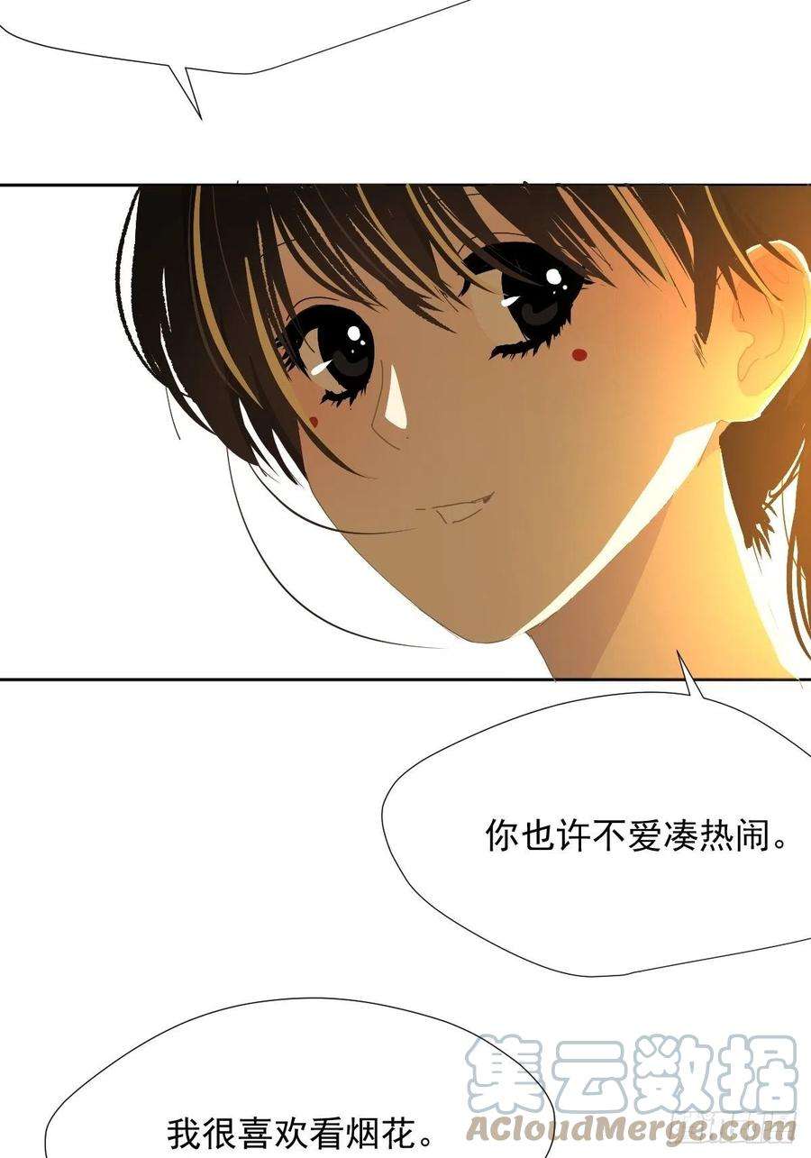 黑背信天翁28你喜欢看烟花吗