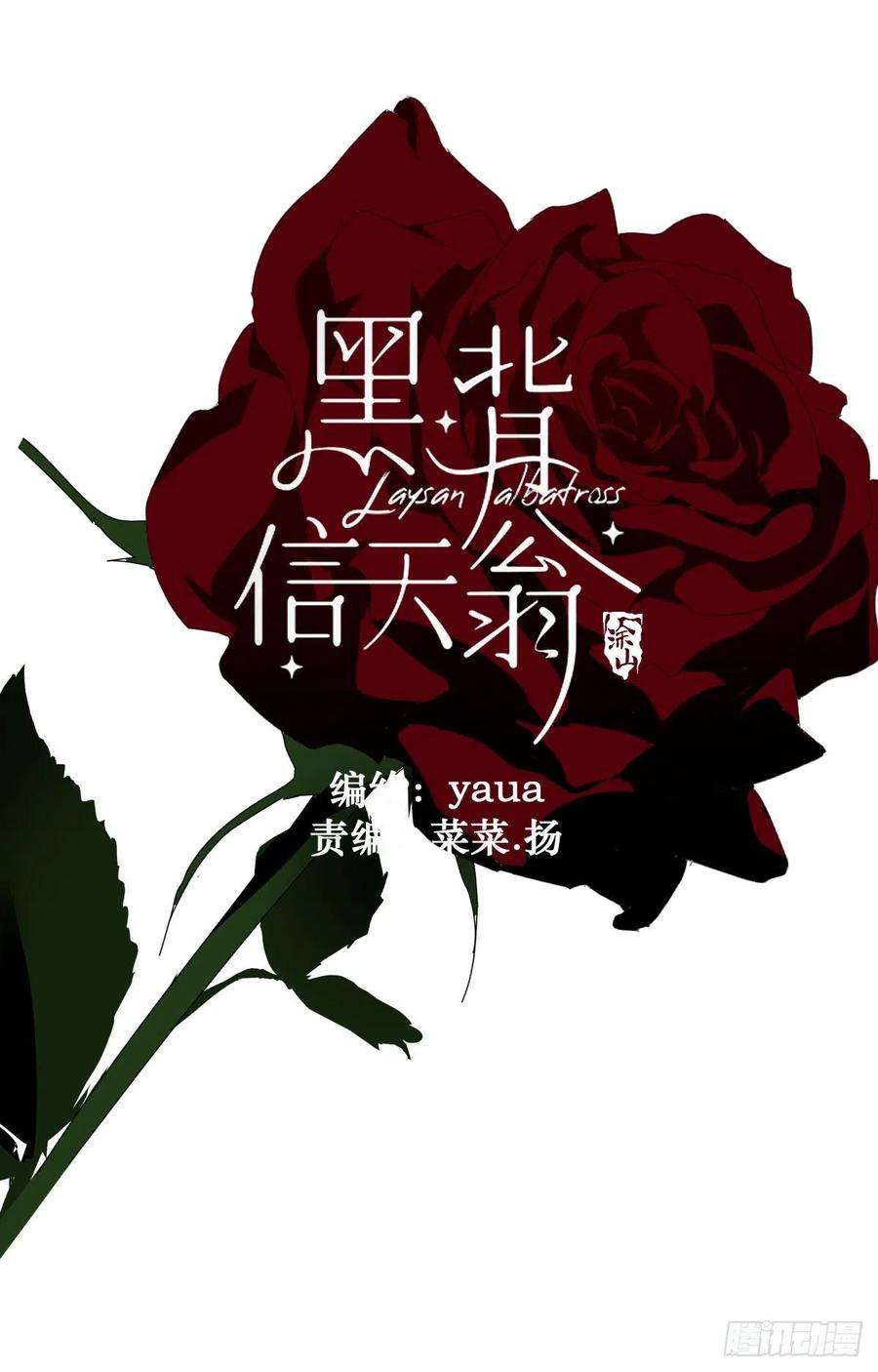 黑背信天翁29骄傲？