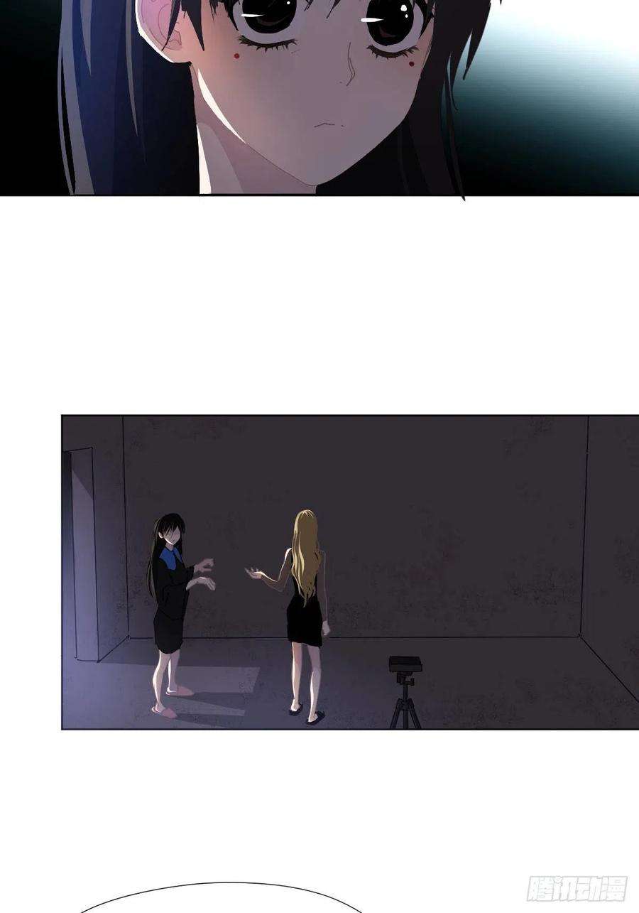 黑背信天翁29骄傲？