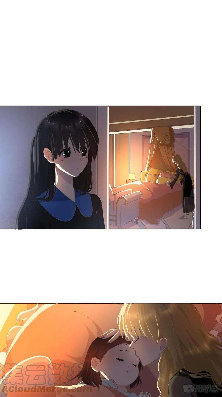 黑背信天翁29骄傲？