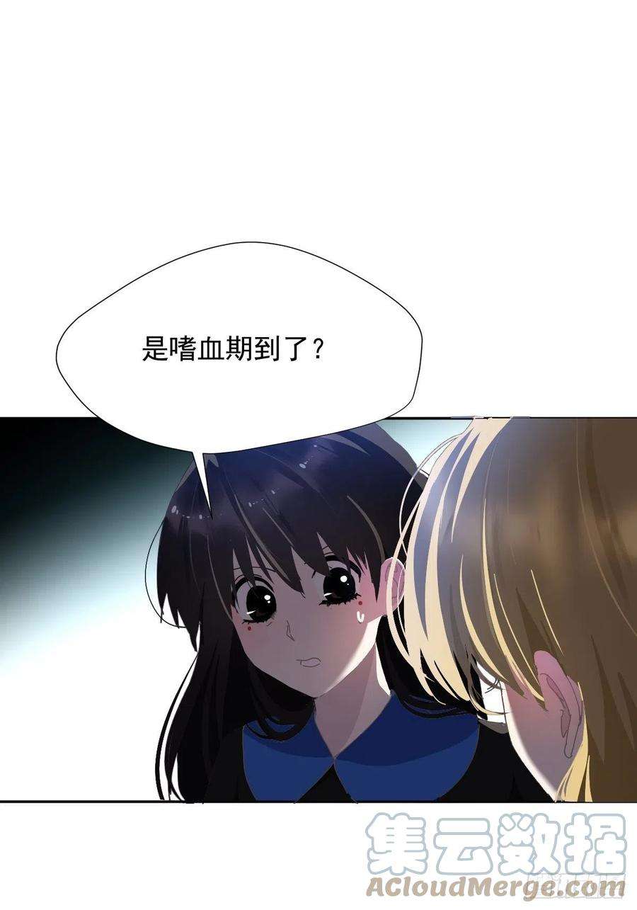 黑背信天翁29骄傲？