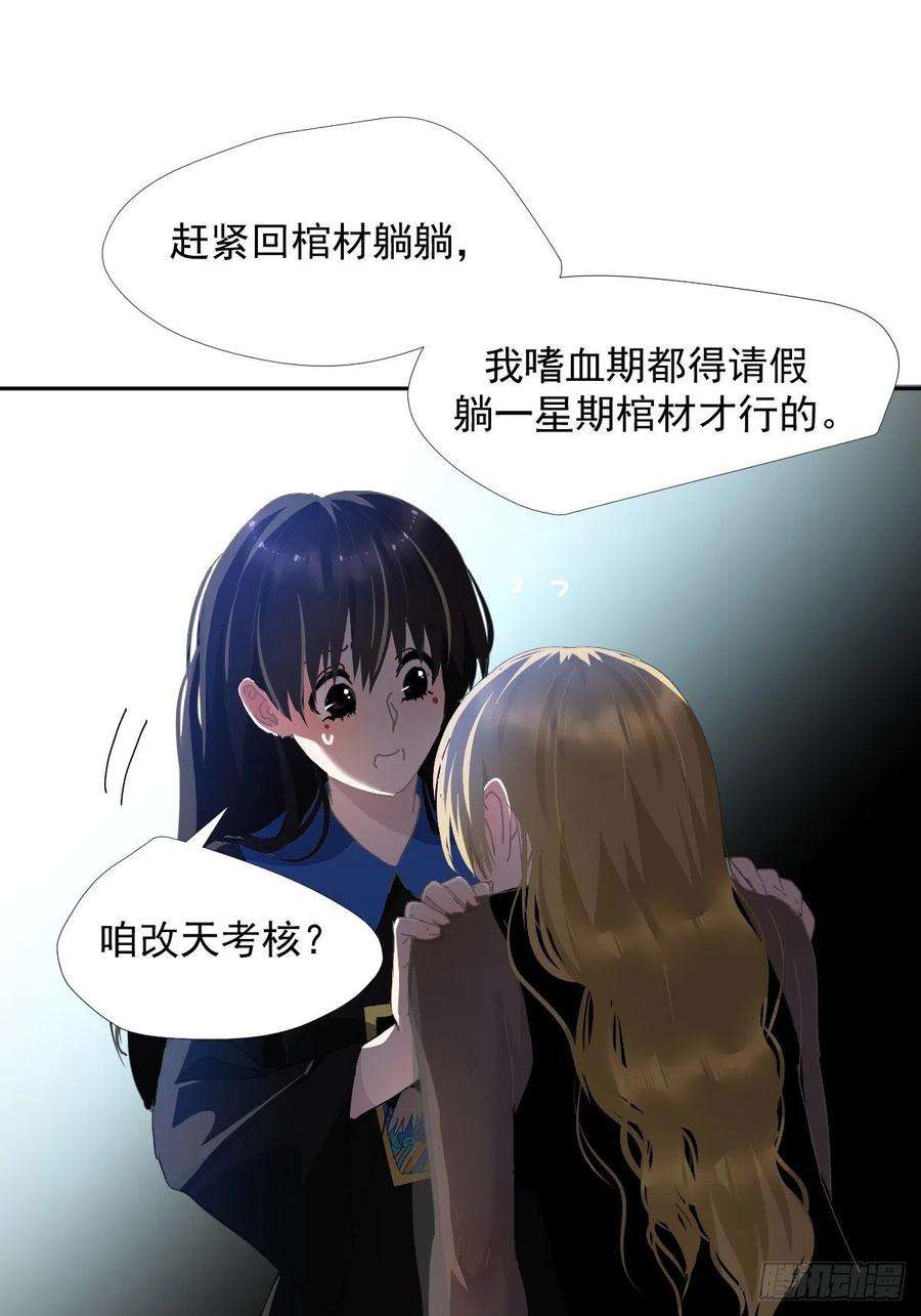 黑背信天翁29骄傲？