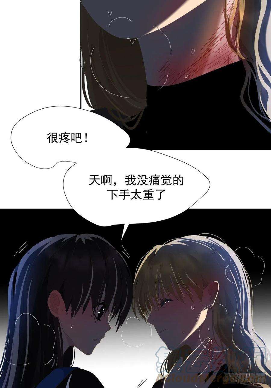 黑背信天翁31不要走