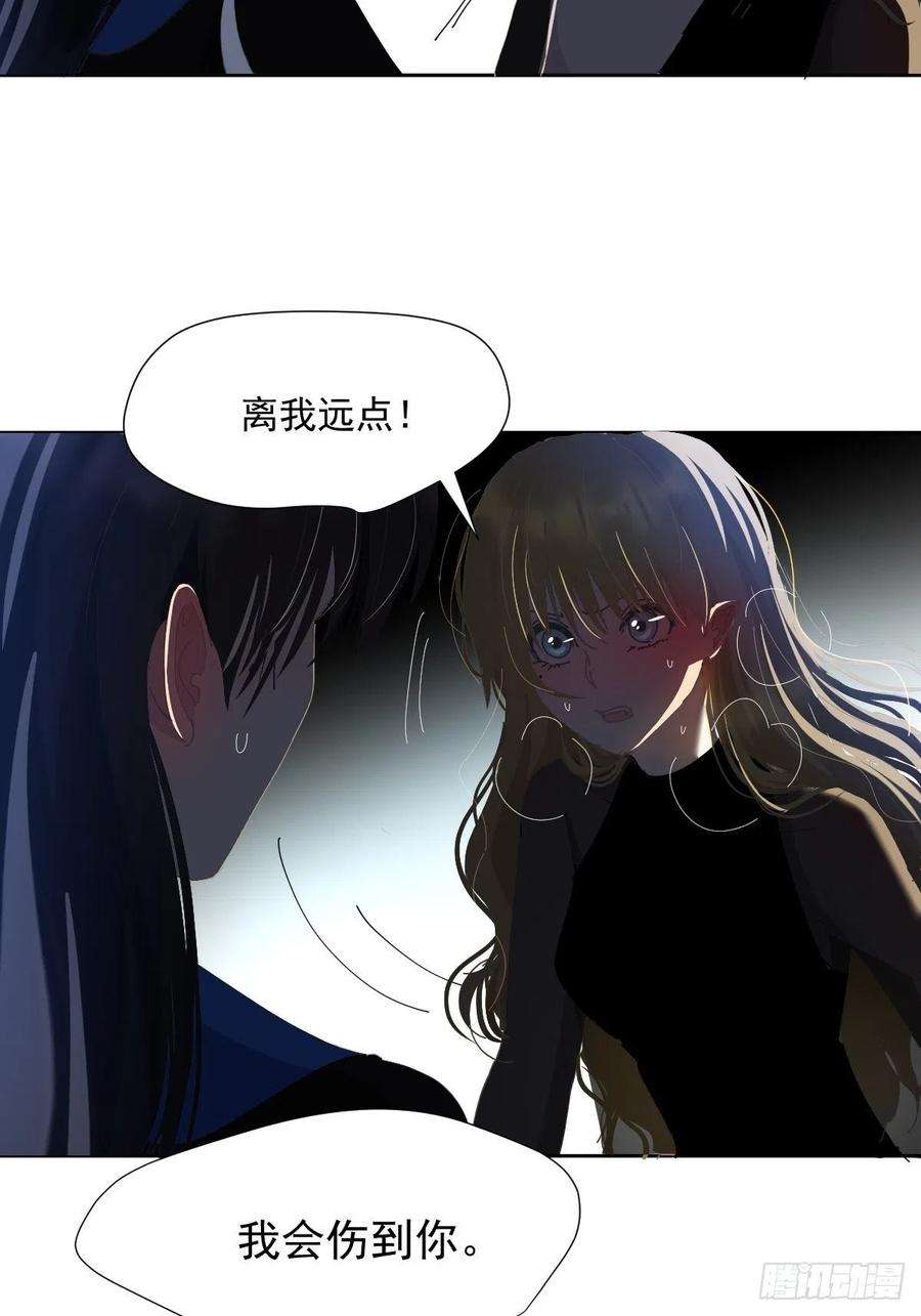 黑背信天翁31不要走